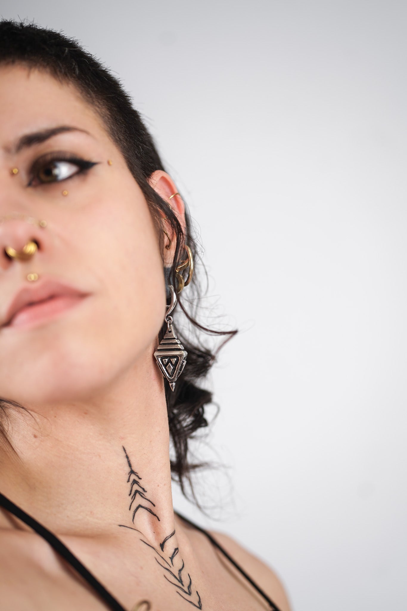 TRYAMBAKA EARWEIGHTS
