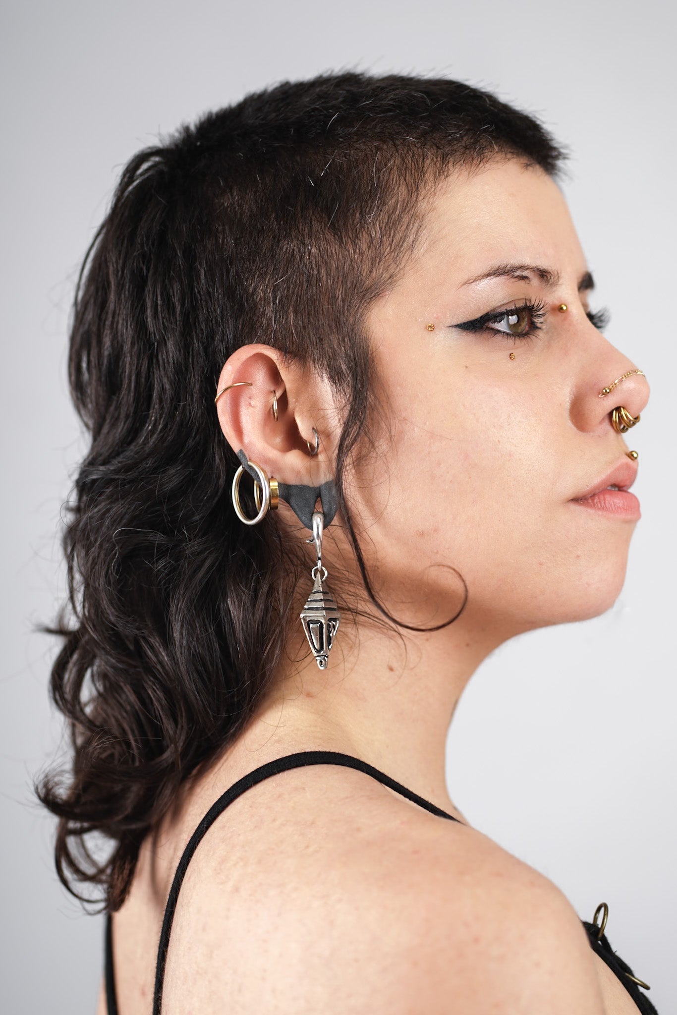 TRYAMBAKA EARWEIGHTS